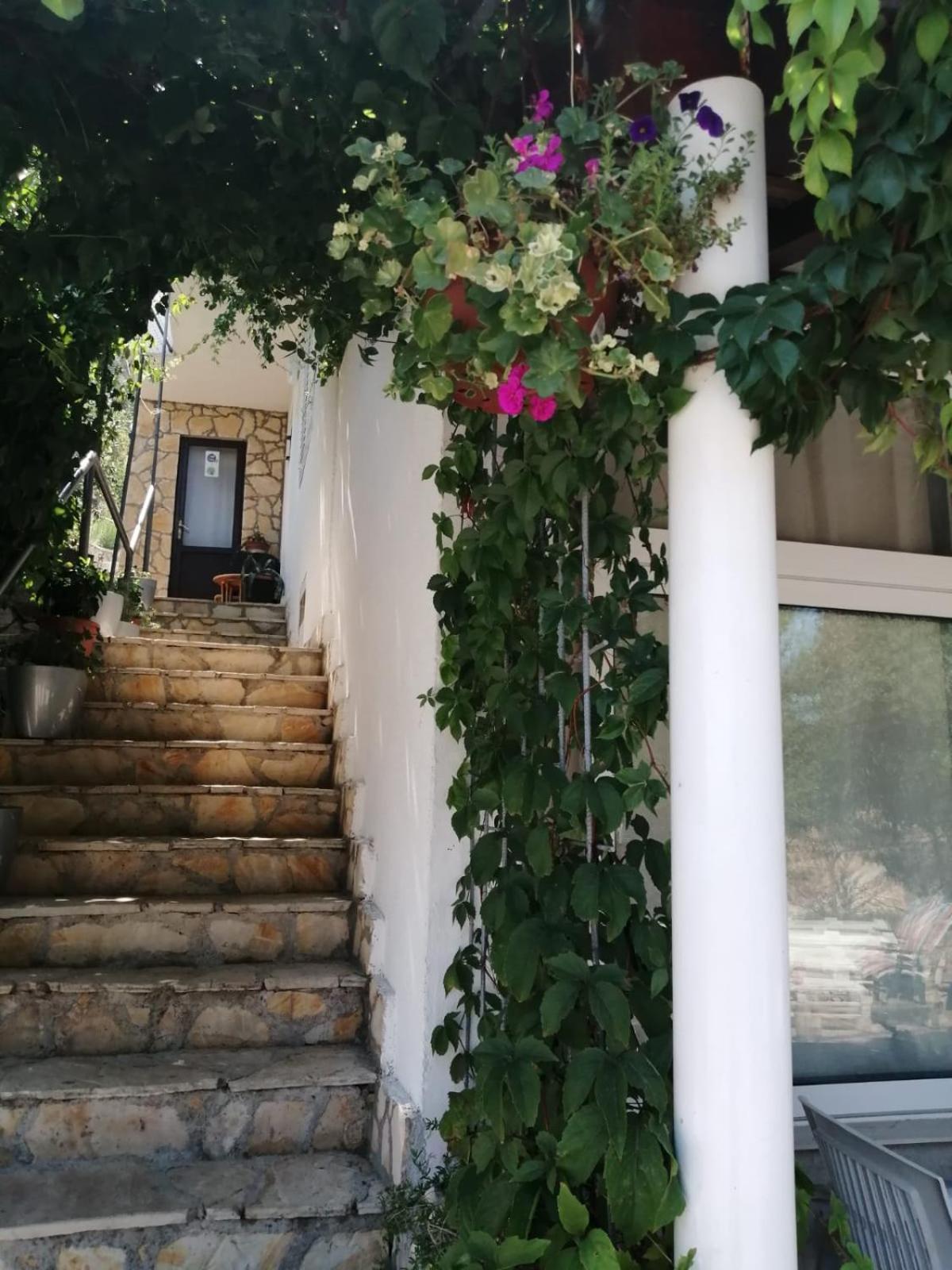 Mala Basina -Maslina Apartment Vrbanj Exterior photo